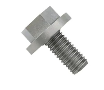 Molybdenum Screw